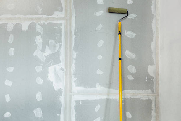 Best Asbestos and Lead Testing During Mold Inspection  in Westview, FL