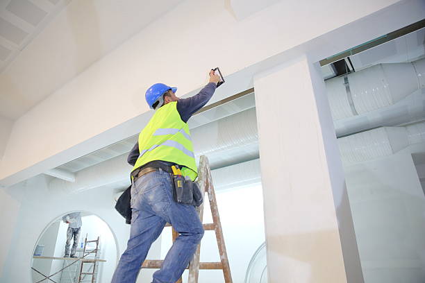 Best Comprehensive Air Testing for Mold Contaminants  in Westview, FL