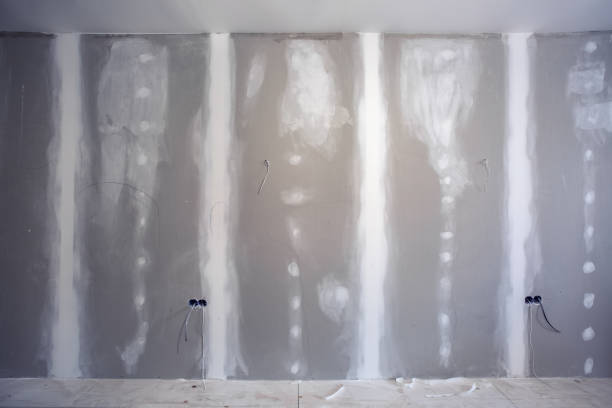 Trusted Westview, FL Mold Removal Experts